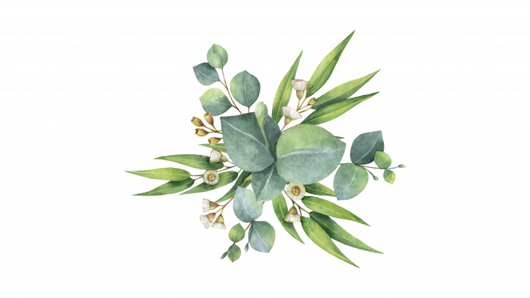 Bo'm institut saint raphael minceur beauté lumière pulsée nutrition